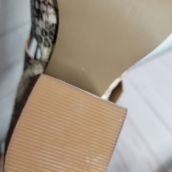 Steve Madden Palermo Multicolor Snakeskin Lace Up Booties - Picture 4 of 5